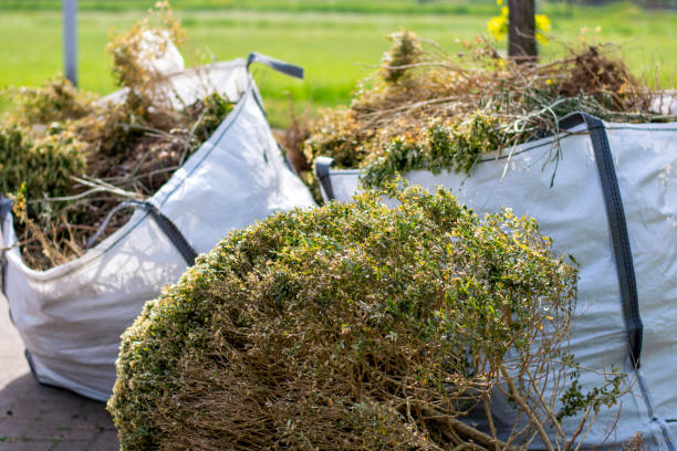 Best Household Junk Removal  in Superior, WI